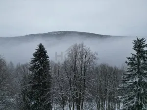 Prodej komerčního pozemku, Malá Úpa - Dolní Malá Úpa, 9164 m2