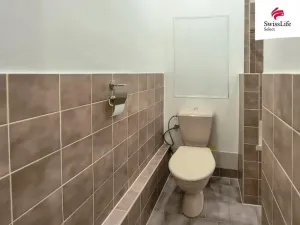 Pronájem bytu 1+1, Plzeň, Na Celchu, 35 m2