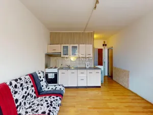 Prodej bytu 1+1, Jirkov, Na Borku, 39 m2