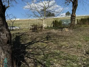 Prodej zahrady, Přerov, 1527 m2