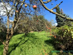 Prodej zahrady, Přerov, 1527 m2