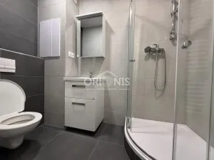 Pronájem bytu 2+1, Chomutov, Mjr. Šulce, 52 m2