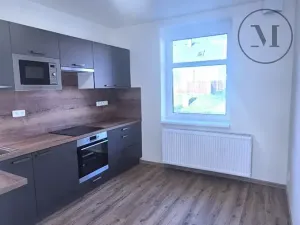 Pronájem bytu 1+1, České Budějovice, Novohradská, 33 m2