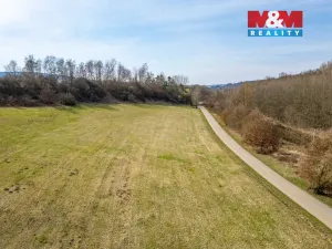 Prodej louky, Ejpovice, 2919 m2