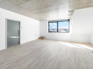Prodej bytu 3+kk, České Budějovice, Štítného, 90 m2
