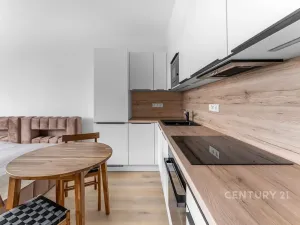 Pronájem bytu 1+kk, Praha - Žižkov, Olgy Havlové, 32 m2