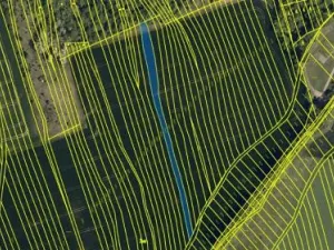 Prodej podílu pole, Bučovice, 619 m2