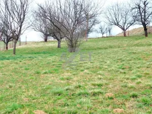 Prodej pozemku pro bydlení, Police, 1266 m2