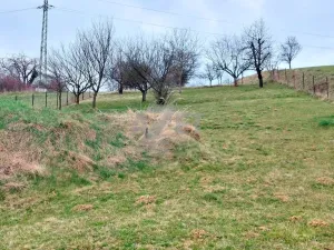 Prodej pozemku pro bydlení, Police, 1266 m2