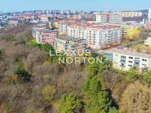 Prodej bytu 1+kk, Praha - Libeň, Nad Okrouhlíkem, 47 m2