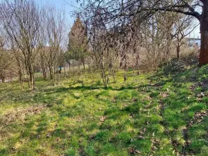Prodej pozemku pro bydlení, Markvartovice, Dlouhá, 900 m2