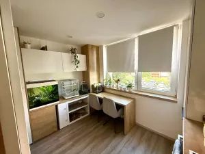 Pronájem bytu 1+1, Prostějov, 39 m2