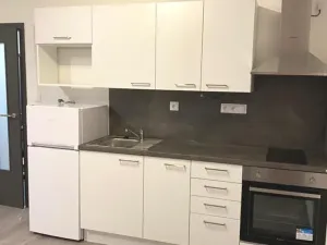 Pronájem bytu 1+kk, Brno, Hlinecká, 30 m2