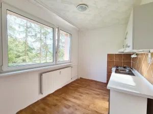 Pronájem bytu 2+1, Jablonec nad Nisou, Boženy Němcové, 56 m2