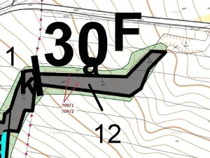 Dražba lesa, Osek, 1823 m2