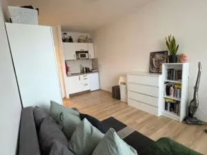 Pronájem bytu 1+kk, Praha - Michle, V dolině, 21 m2