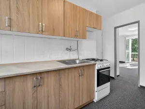 Prodej bytu 2+1, Plzeň, U Školky, 58 m2