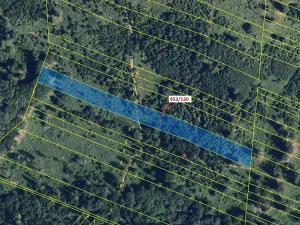 Dražba lesa, Nová Hradečná, 5079 m2