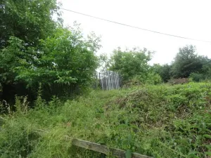 Dražba rodinného domu, Hrabišín, 110 m2