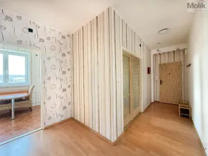 Pronájem bytu 2+1, Most, Vítězslava Nezvala, 52 m2