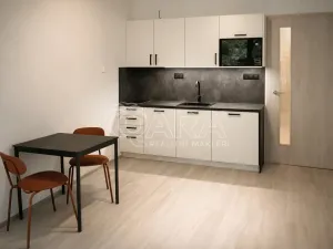 Pronájem bytu 1+kk, Praha - Hlubočepy, Na Zlíchově, 26 m2