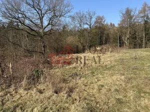 Prodej pozemku pro bydlení, Ludvíkovice, 3129 m2