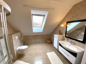 Prodej rodinného domu, Karlovy Vary, K Výhledu, 362 m2