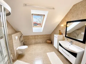 Prodej rodinného domu, Karlovy Vary, K Výhledu, 362 m2