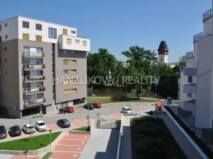 Pronájem bytu 1+kk, České Budějovice - České Budějovice 2, Volejbalistů, 28 m2