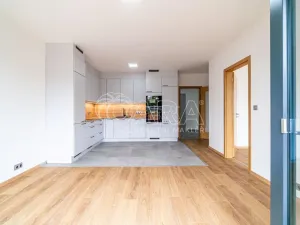Pronájem bytu 2+kk, Kralupy nad Vltavou, 55 m2