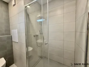 Pronájem bytu 2+kk, Brno - Židenice, Bořetická, 40 m2