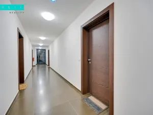 Pronájem bytu 2+kk, Olomouc - Nová Ulice, Třída Jiřího Pelikána, 53 m2