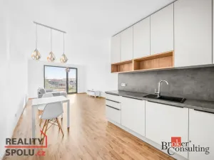 Pronájem bytu 2+kk, Plzeň - Jižní Předměstí, Železná, 60 m2