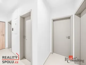 Pronájem bytu 2+kk, Plzeň - Jižní Předměstí, Železná, 60 m2