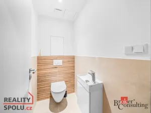 Pronájem bytu 2+kk, Plzeň - Jižní Předměstí, Železná, 60 m2