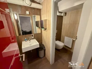 Prodej rodinného domu, Louny, Mírové náměstí, 530 m2