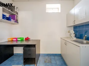 Prodej obchodního prostoru, Rataje nad Sázavou, 200 m2