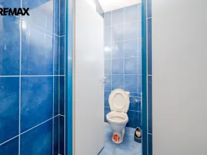 Prodej obchodního prostoru, Rataje nad Sázavou, 200 m2
