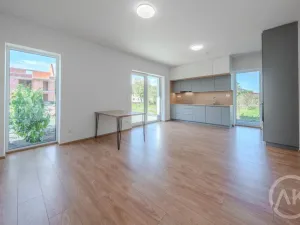 Pronájem bytu 1+kk, Bravantice, 39 m2