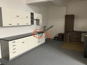 Prodej obchodního prostoru, Prostějov, Tylova, 2433 m2