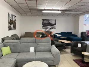 Prodej obchodního prostoru, Prostějov, Tylova, 2433 m2