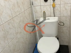 Prodej obchodního prostoru, Prostějov, Tylova, 2433 m2