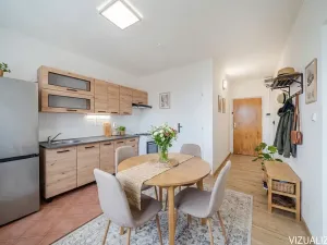 Prodej bytu 1+1, Lovosice, Vodní, 37 m2