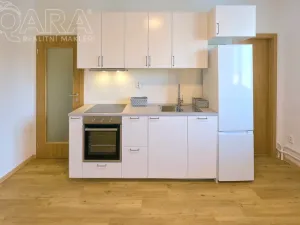 Pronájem bytu 3+kk, Praha - Vinohrady, Nad Primaskou, 56 m2