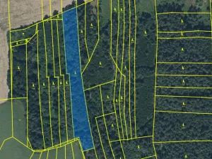 Prodej lesa, Blížejov - Lštění, 6627 m2