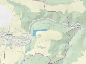 Prodej lesa, Zborov, 9290 m2