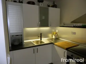 Pronájem bytu 1+kk, Brno, U Leskavy, 39 m2