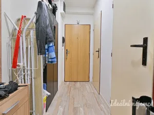 Pronájem bytu 2+1, Brno - Staré Brno, Úvoz, 55 m2