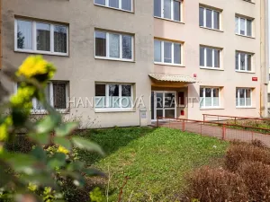 Prodej bytu 3+1, České Budějovice - České Budějovice 3, Jírovcova, 65 m2