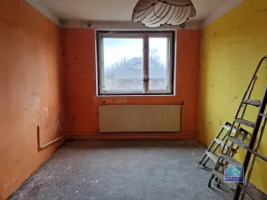 Prodej rodinného domu, Vranov - Svinná, 1279 m2